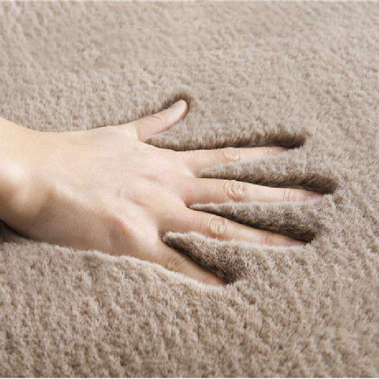 Plush Carpet04