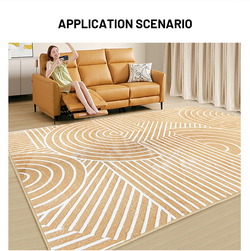 living-room-carpet_02